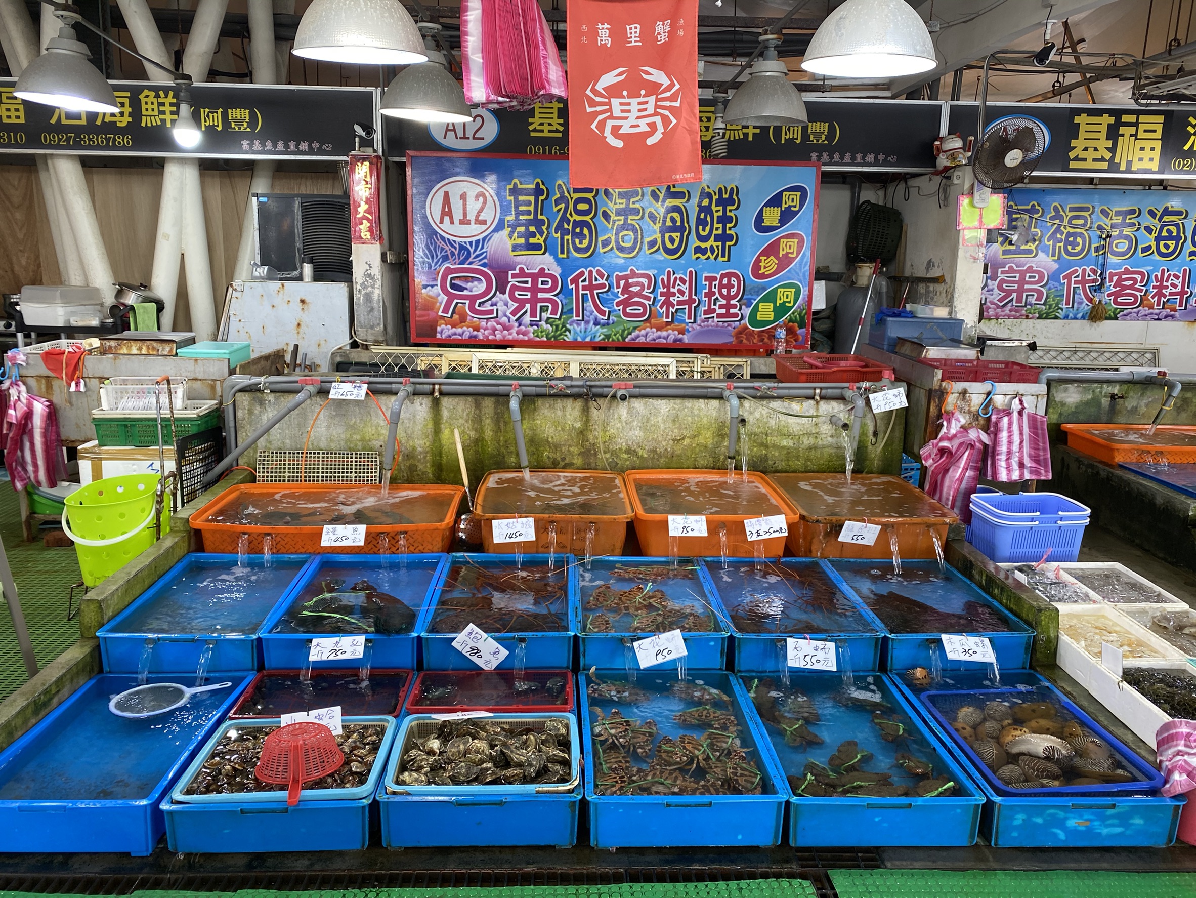 富基漁港豐富的海鮮美食